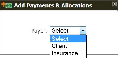 The Add Payment initial popup
